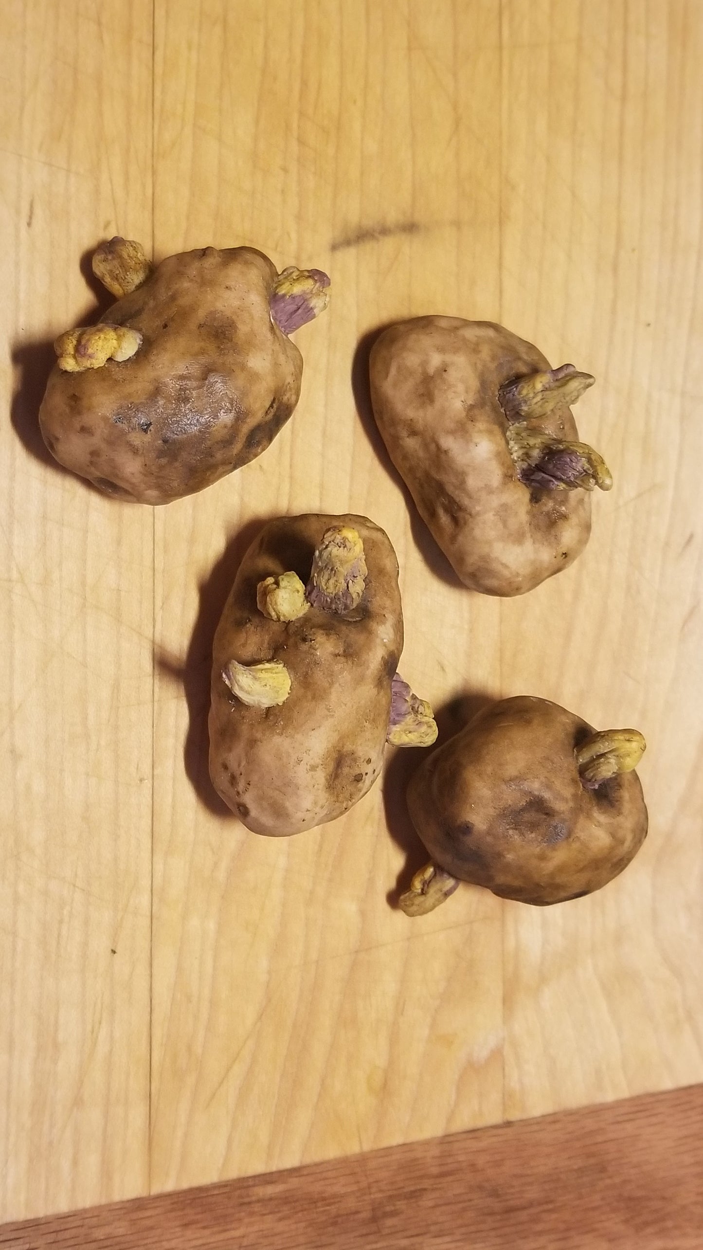 Fake: Old Potatoes